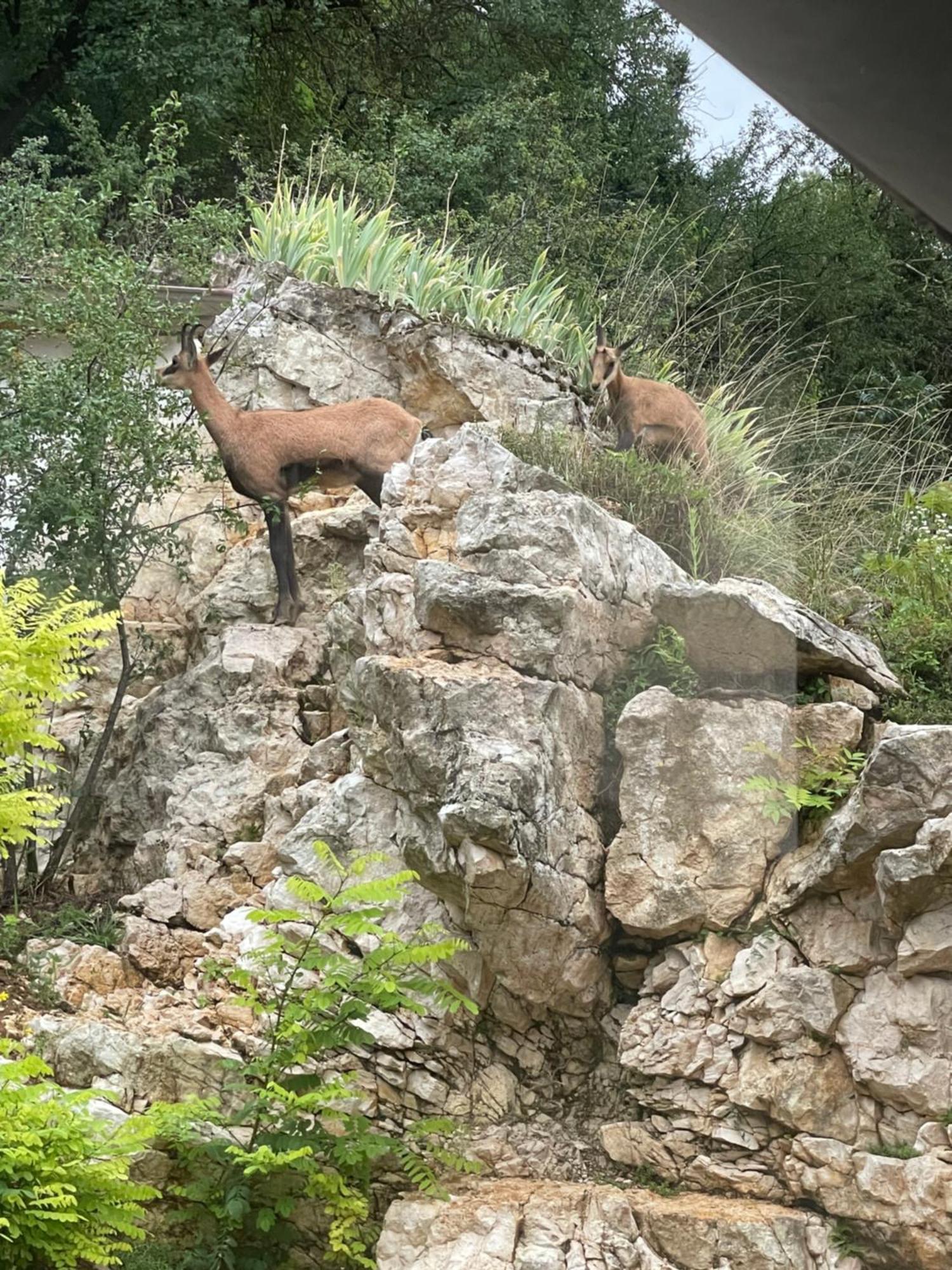 Maison Au Bord De L'Eau Les Roches Rochefort-sur-Nenon Zewnętrze zdjęcie